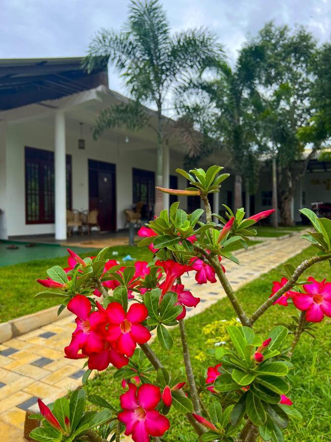 Sigiriya Green Garden Home Exterior photo
